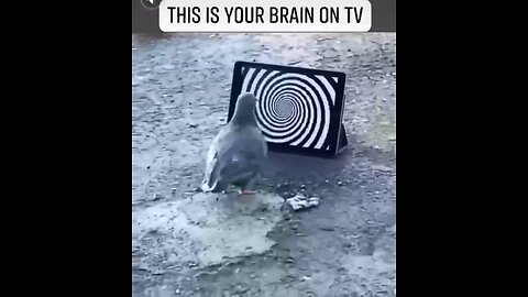 "Effect of Television on Your Brain"
