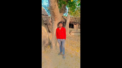 Bhojpuri song