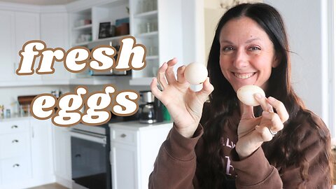 Our first duck egg #smallhomestead | Life with ducks EP9
