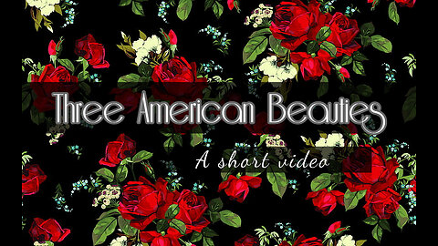 Three American Beauties 🇺🇸 | Rare Vintage🌹find | Thank You all for following ! ❤ Short Clip