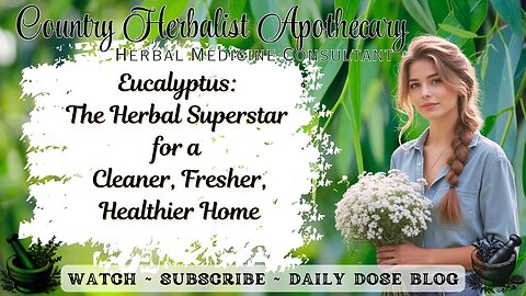Eucalyptus: The Herbal Superstar for a Cleaner, Fresher, Healthier Home