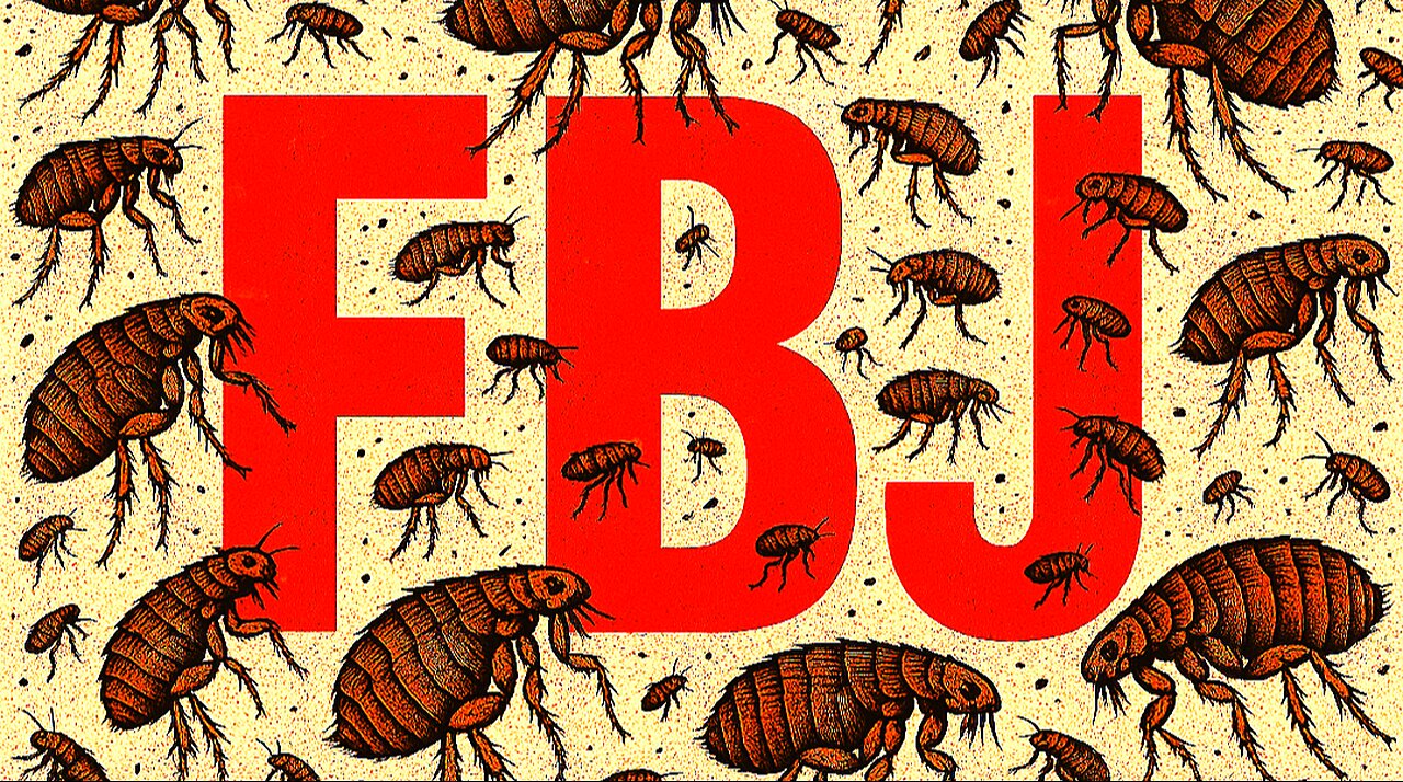 How a Narcissist Uses DARVO to Avoid Accountability. i.e Brittney J the LolCow.