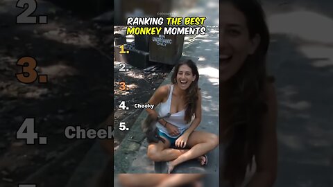 Ranking The Best Monkey Moments