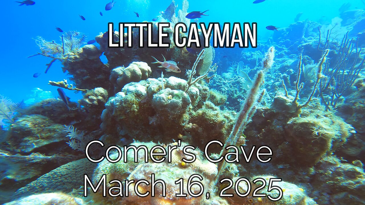 Little Cayman - Comber's Cave - March 16, 2025