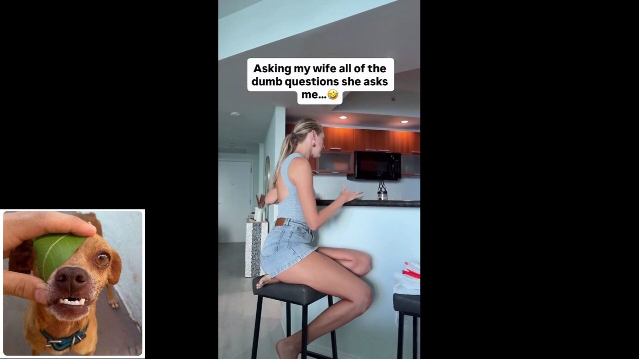 Funny videos compilation 26