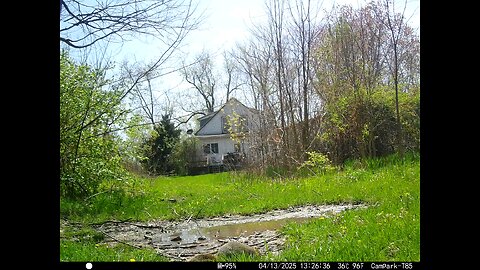 Deer Cam 04-13-2025 Squirrel
