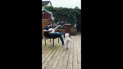 लवली डांस