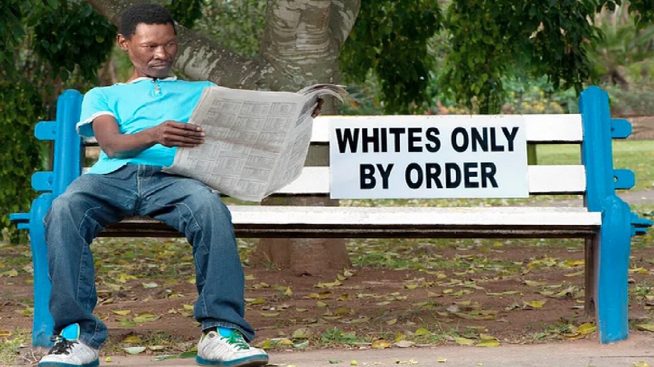 White Nationalist Vs Blacks! Hilarious Show!