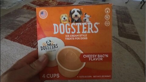 Dogster Ice Cream Treat for dogs review