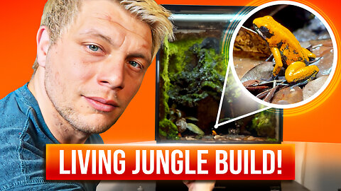 Simulating A Living Indoor Ecosystem!