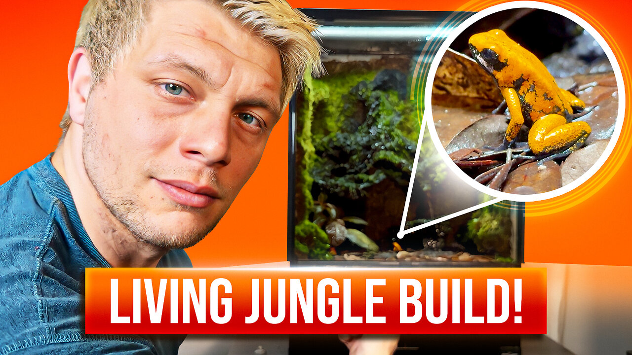 Simulating A Living Indoor Ecosystem!