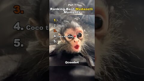 Funniest Medazelli#ranking #medazelli #tiktok