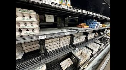 US Egg Giant Cal-Maine Government Probing Price Increases