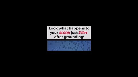 Look at the difference grounding can make in your blood in just 24 hours