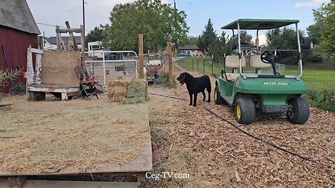 Graham Family Farm NW: Hay - September 7 2025