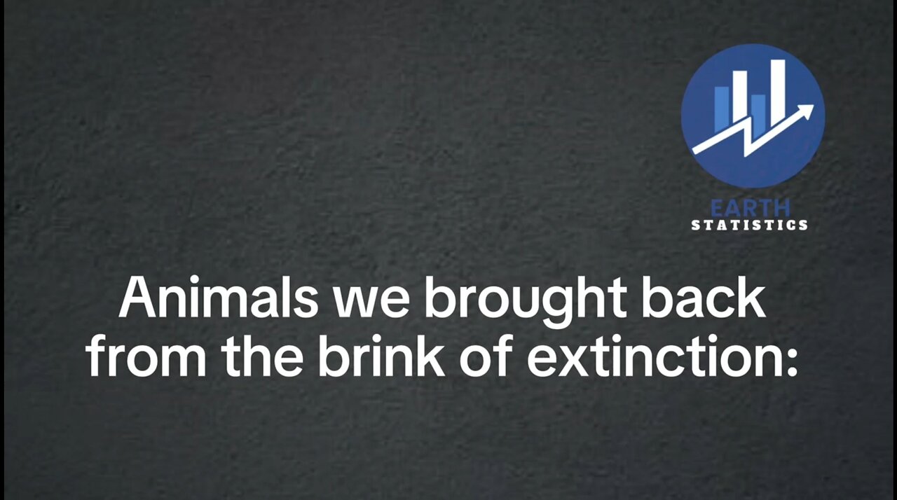 Animals we brought back from the brink of extinction...