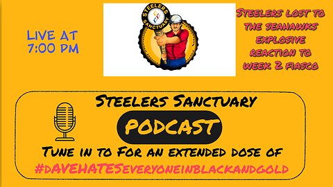 Steelers Sanctuary Seahawks Explosive Reaction