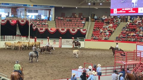 Calgary Stampede 2025
