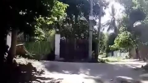 🔫🌿 Myanmar War | Red Giant & Guerrilla Forces Ambush Police Station | RCF