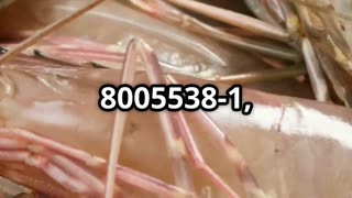 Walmart’s Radioactive Shrimp Recall Explained | Great Value Shrimp & Cesium-137 Risks
