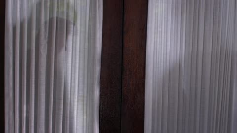 The.Attic.2007. BluRay film