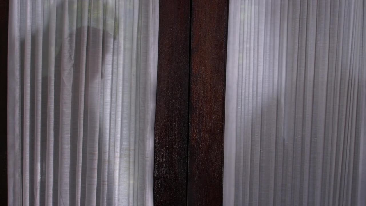The.Attic.2007. BluRay film