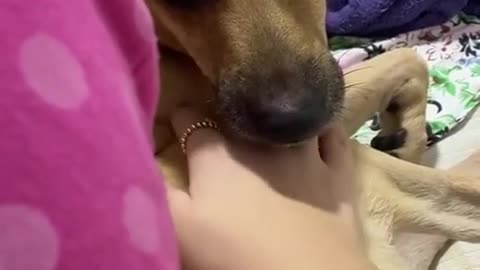 😂 He has to decide what he wants | FunFM