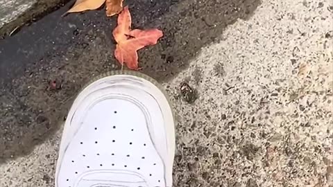 Searching for a Sound That Doesn’t Exist… Yet