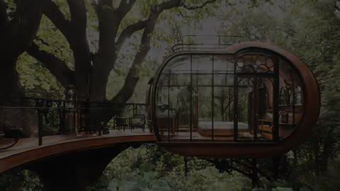10 World's Most Unique Treehouses: Hidden Gems Never Seen Before