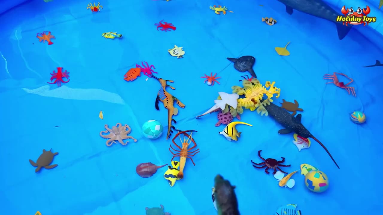 Walrus Relaxing on Snowdrift While Eating Fish