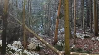 Mental Grind – Hardcore Lofi Session