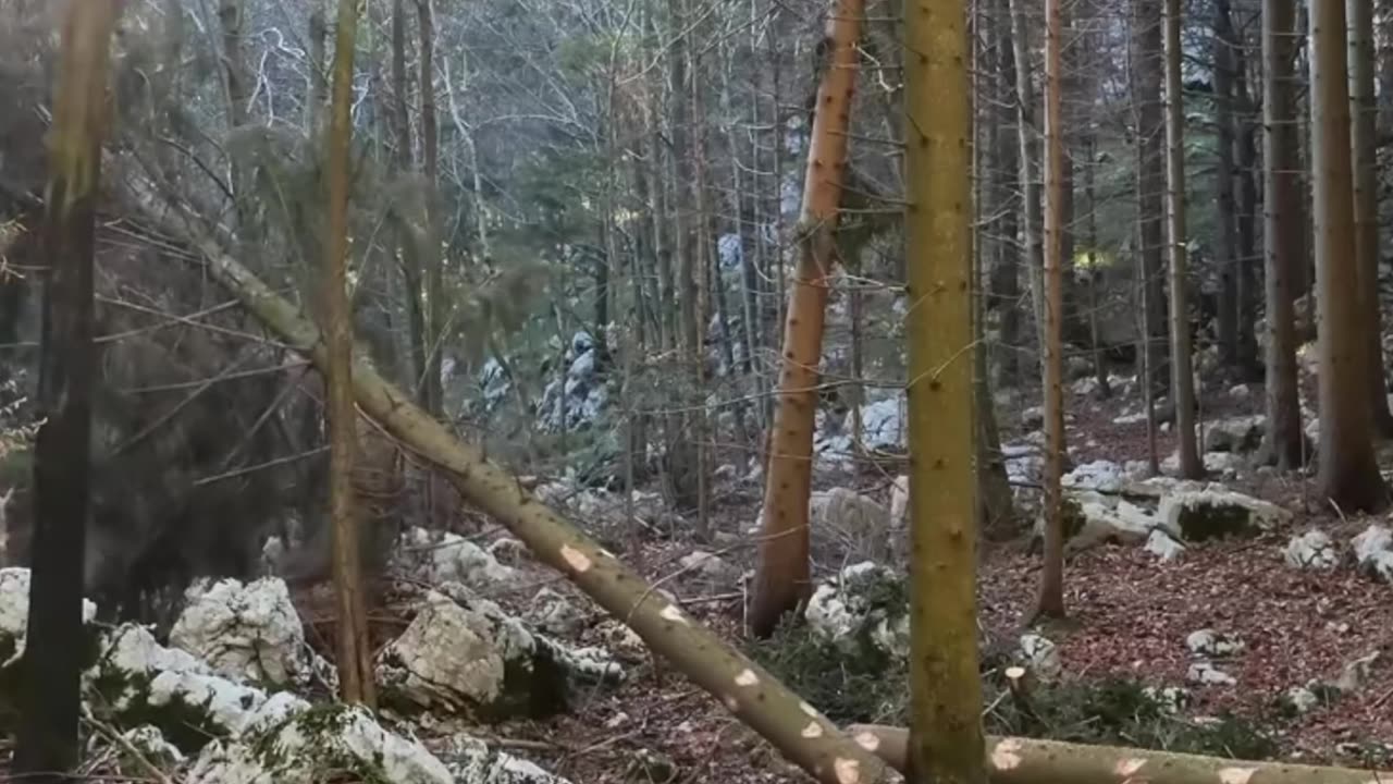 Mental Grind – Hardcore Lofi Session