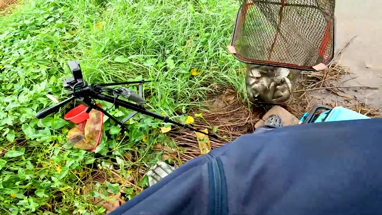 Sucker Searches the Lakes Bed