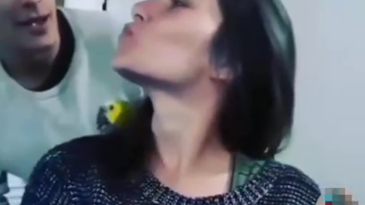 Trynottolaugh challange part 31