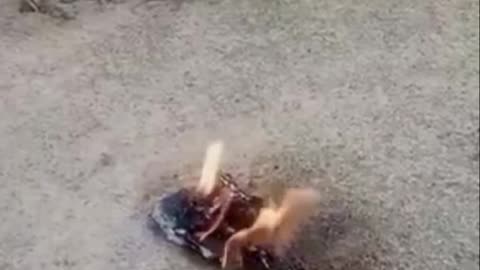 🔥🚀 Ukraine Russia War | Napalm-Filled Shahed Drones Target Kyiv Assault | RCF