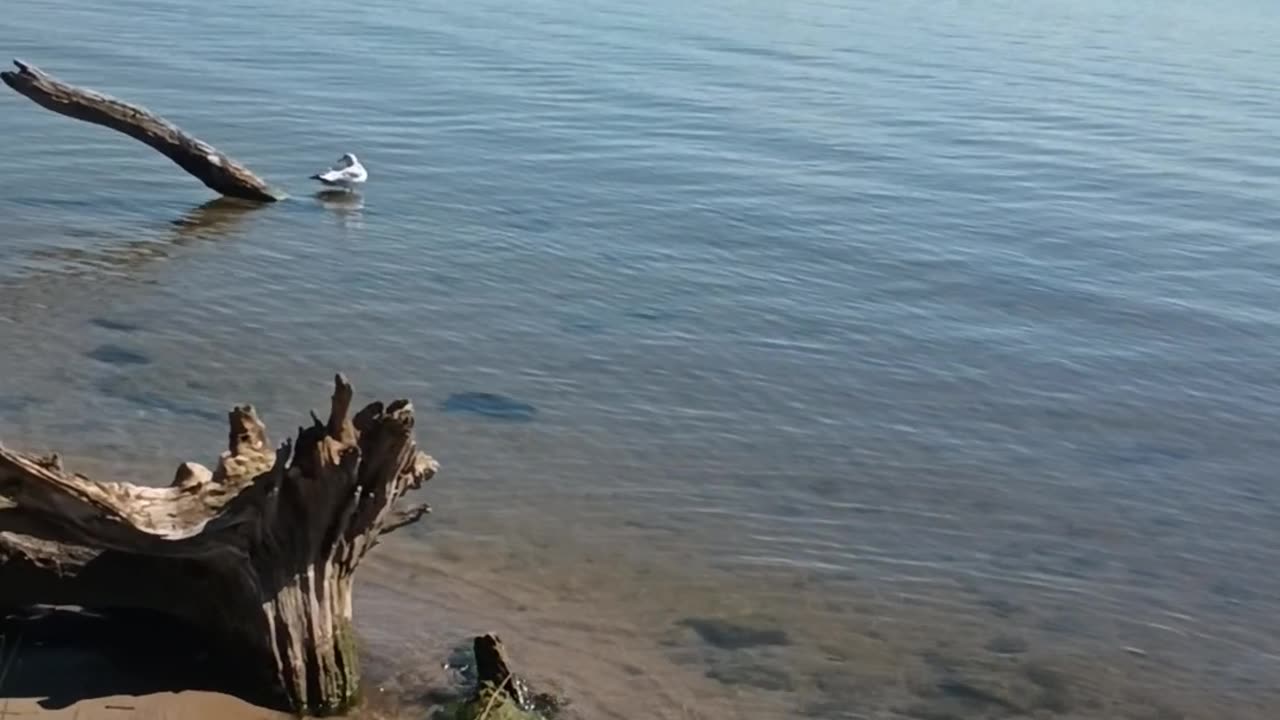 🌊#Water Always Knows The Way hOMe🕉️