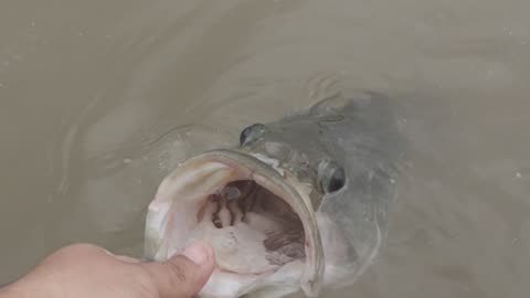 Big Bass Got VIOLATED!!