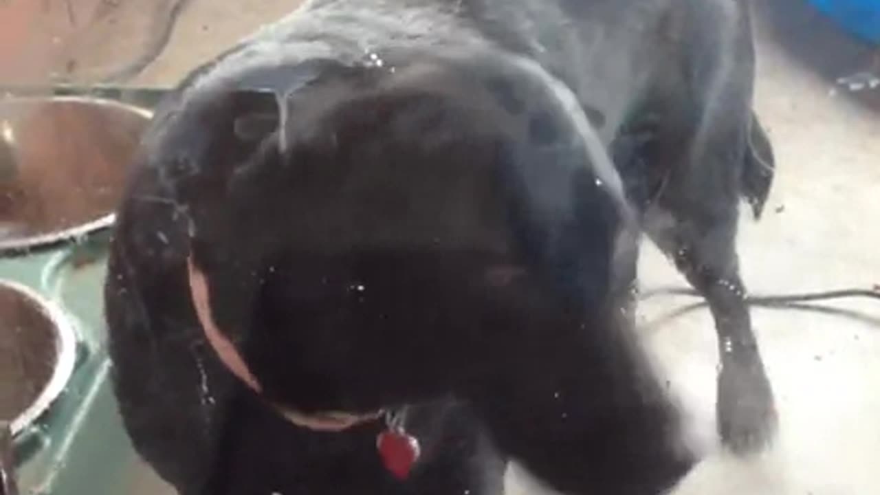 🚗 Car windows cause ear damage – Wind noise exceeds 90dB