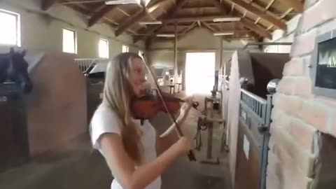 Horses like violin playing