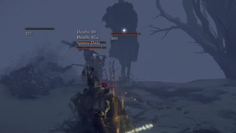 Elden Ring : Some times things just get fudged up with this mod. (Seamless Co-op) #eldenring #shorts