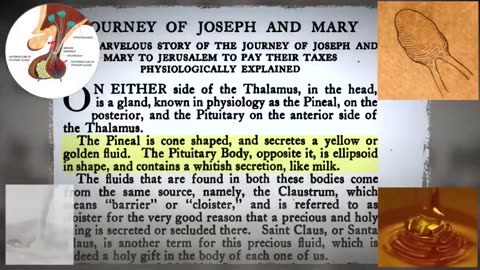 🥩 Meat~Solar Plexus~Bethlehem~Christ Within~ Mirrored