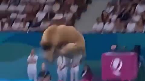 Olympiade Anjing