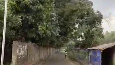 vrail video