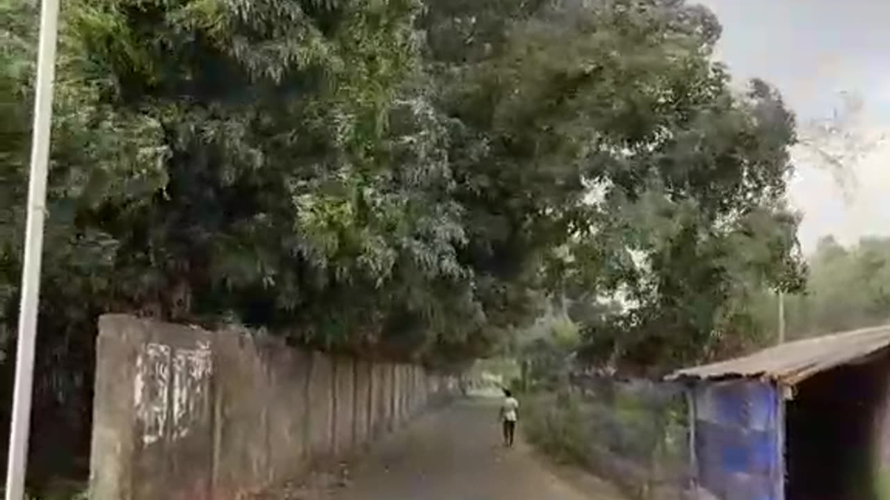 vrail video