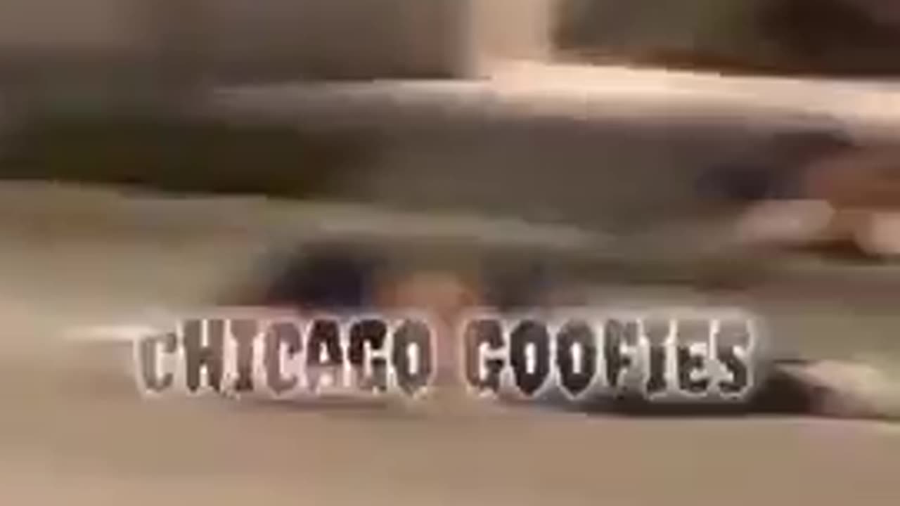 ANOTHER NIGGER GANG ATTACK ON WHITES IN CHICONGO - LOOK AT THOSE NIGGERS HOW THEY ROBBING THEM