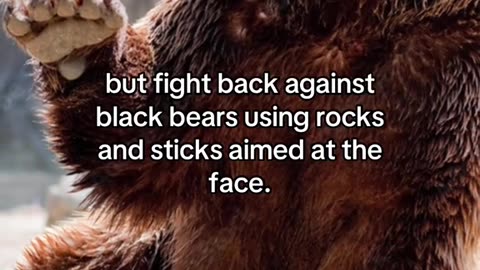 SURVIVAL TIPS THEY CAN SAFE YOUR LIFE ONE DAY