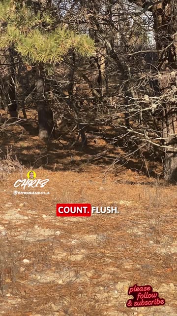 DO YOU SEE THEM? Look close!