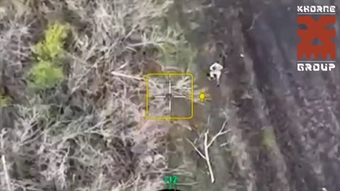 Ukrainian Drone Operators Count 7 Enemy KIA from Single Drone Strike