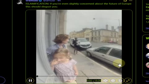 Black Migrant Tries to Steal A White Baby From Mother