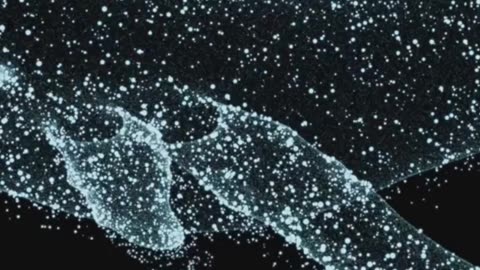 Today’s Crypto in 60s: Coinbase, Ethereum, Solana!